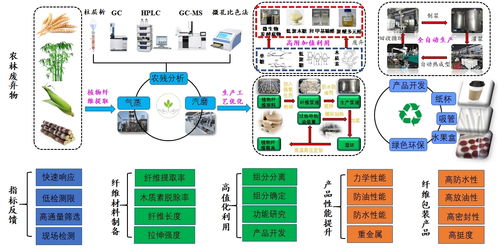 科技小分隊助力企業開發可降解食品包裝材料